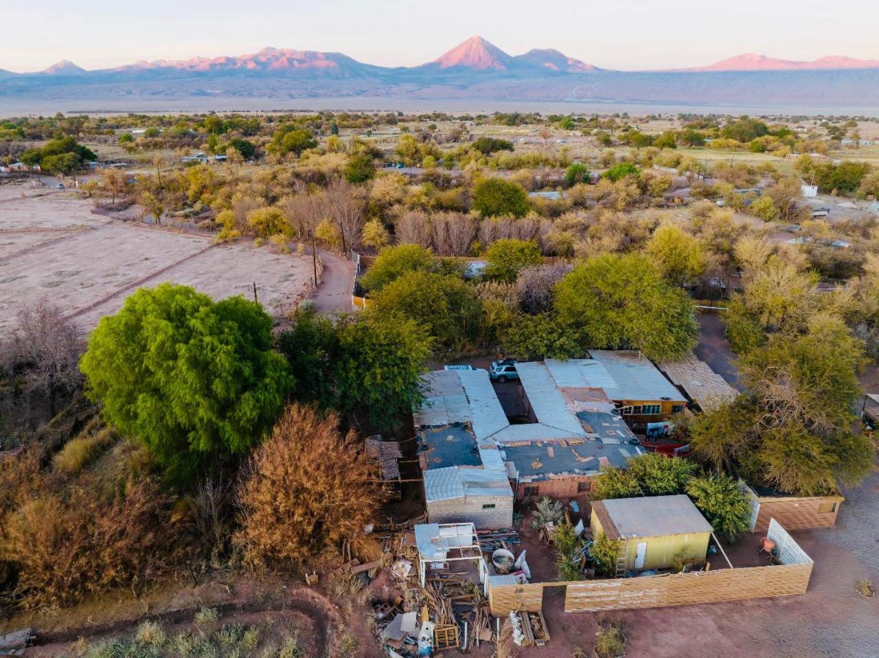 Suri Atacama - Eco H&T Pensionat San Pedro de Atacama Eksteriør billede